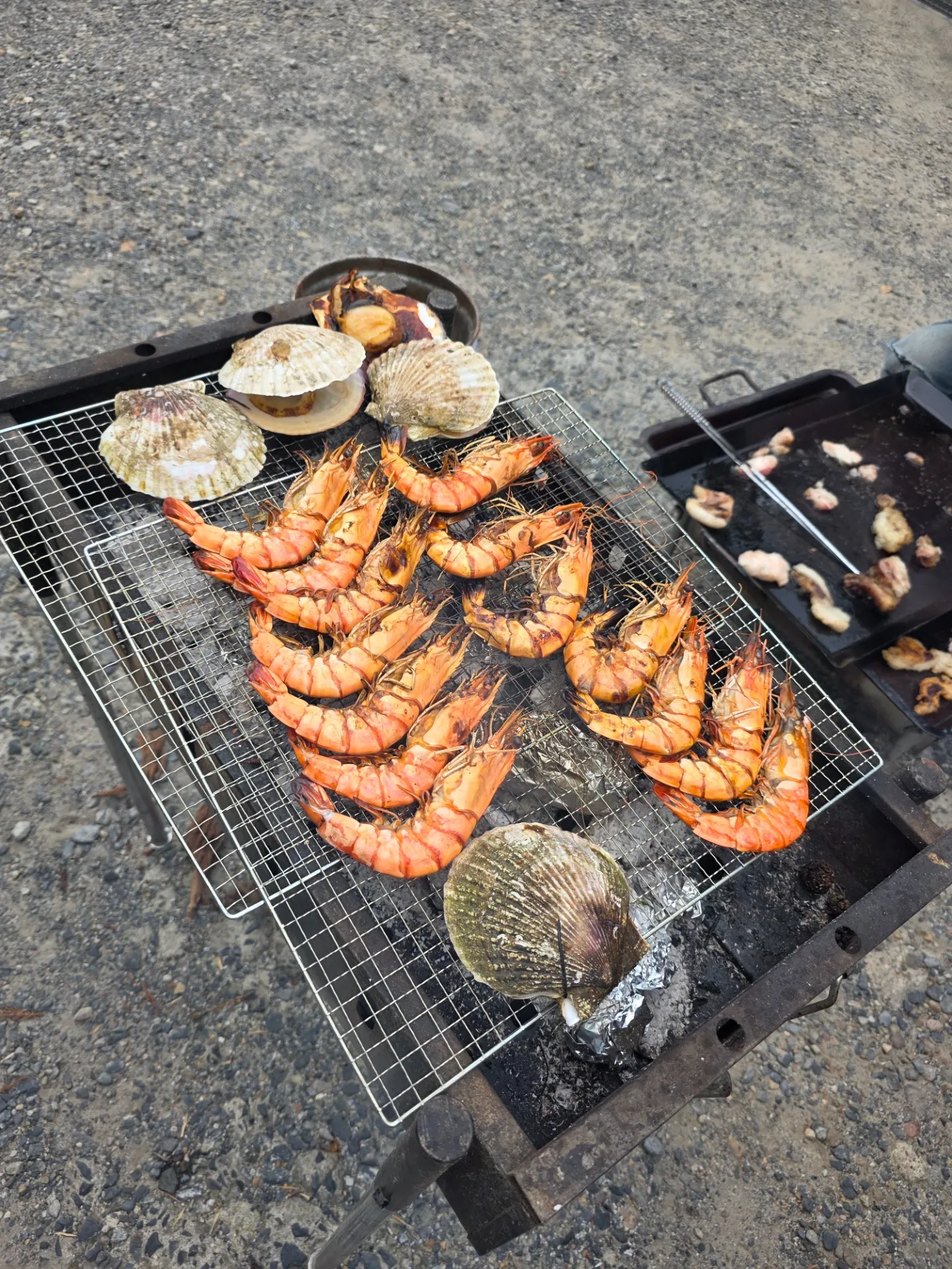 毎年恒例…夏のBBQ大会(⋈◍>◡<◍)。✧♡ ニク🥩肉🍖